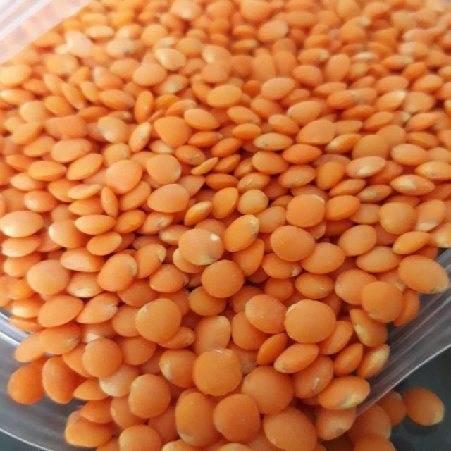 Đậu lăng đỏ