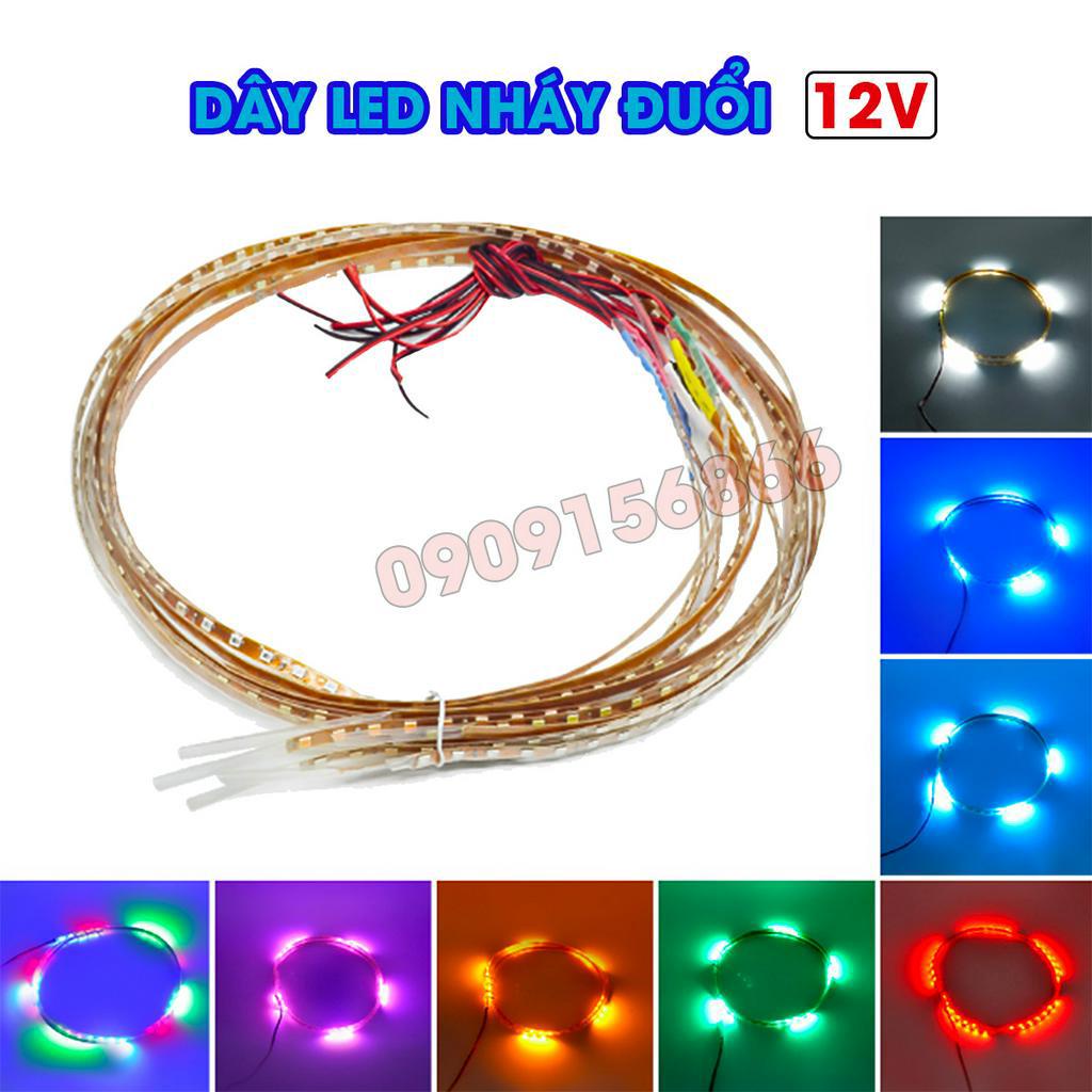 Led Dây Nháy 12v
