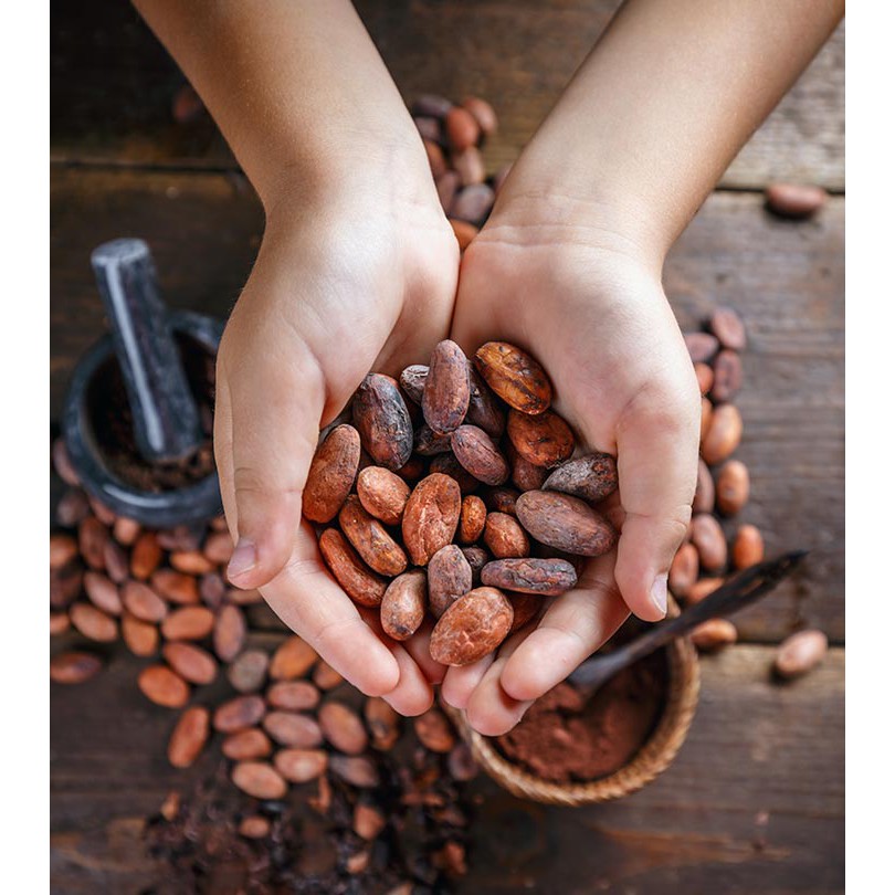 500g Cacao bổ dưỡng Sing Việt teen kakao - Cacoa smoothies