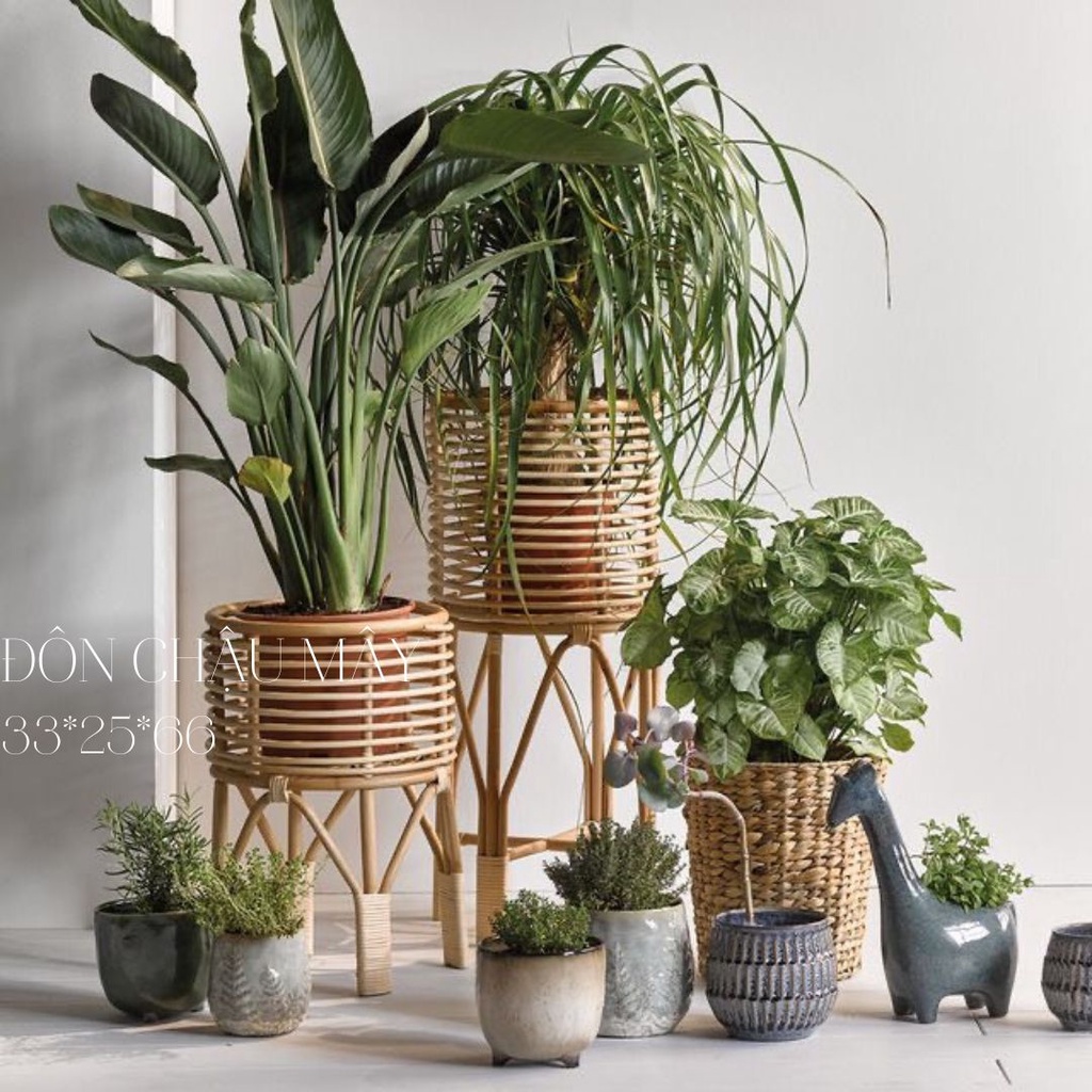Đôn mây/ kệ chậu mây cao cấp làm thủ công phù hợp trang trí cho homestay, phòng khách, phòng ngủ, quán cf, cửa hàng