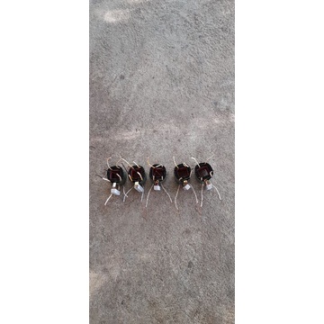 Biến áp chuyển điện 12v lên 400v không fe sat