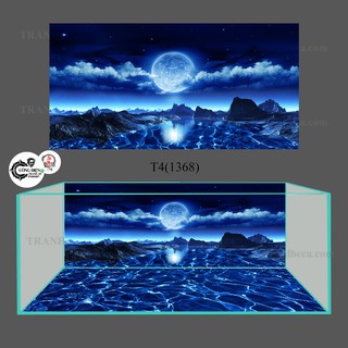 Tranh bộ 3D phông nền bể cá cao cấp – Trang trí hồ cá cảnh – Có keo sẵn – Cường Điện - 2 tấm bao gồm  cả lưng và đáy