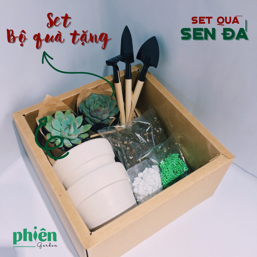 Hộp quà tặng sen đá Gardening Box, Gift Set tự tay trồng sen đá, quà tặng sinh nhật
