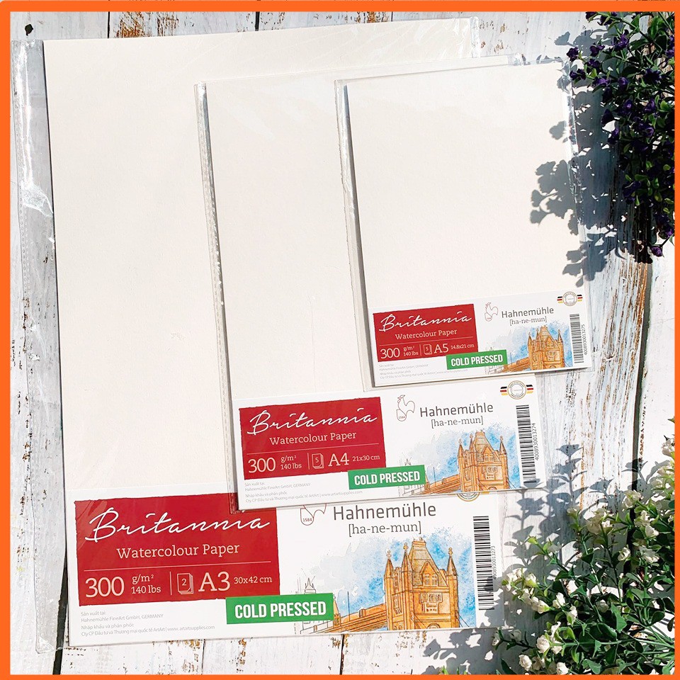 Giấy Màu Nước Britannia Hahnemuhle - 300gsm - 25% Cotton