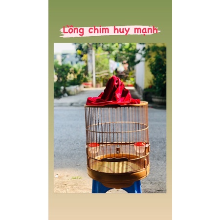 Khung choè bằng tự lắp giá rẻ hàng đẹp