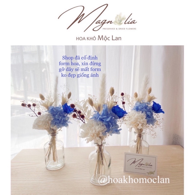 Hoa khô trang trí kèm lọ ️FREESHIP️ Set bình hoa hồng cẩn chướng giấy Italy không tàn siêu vintage đẹp