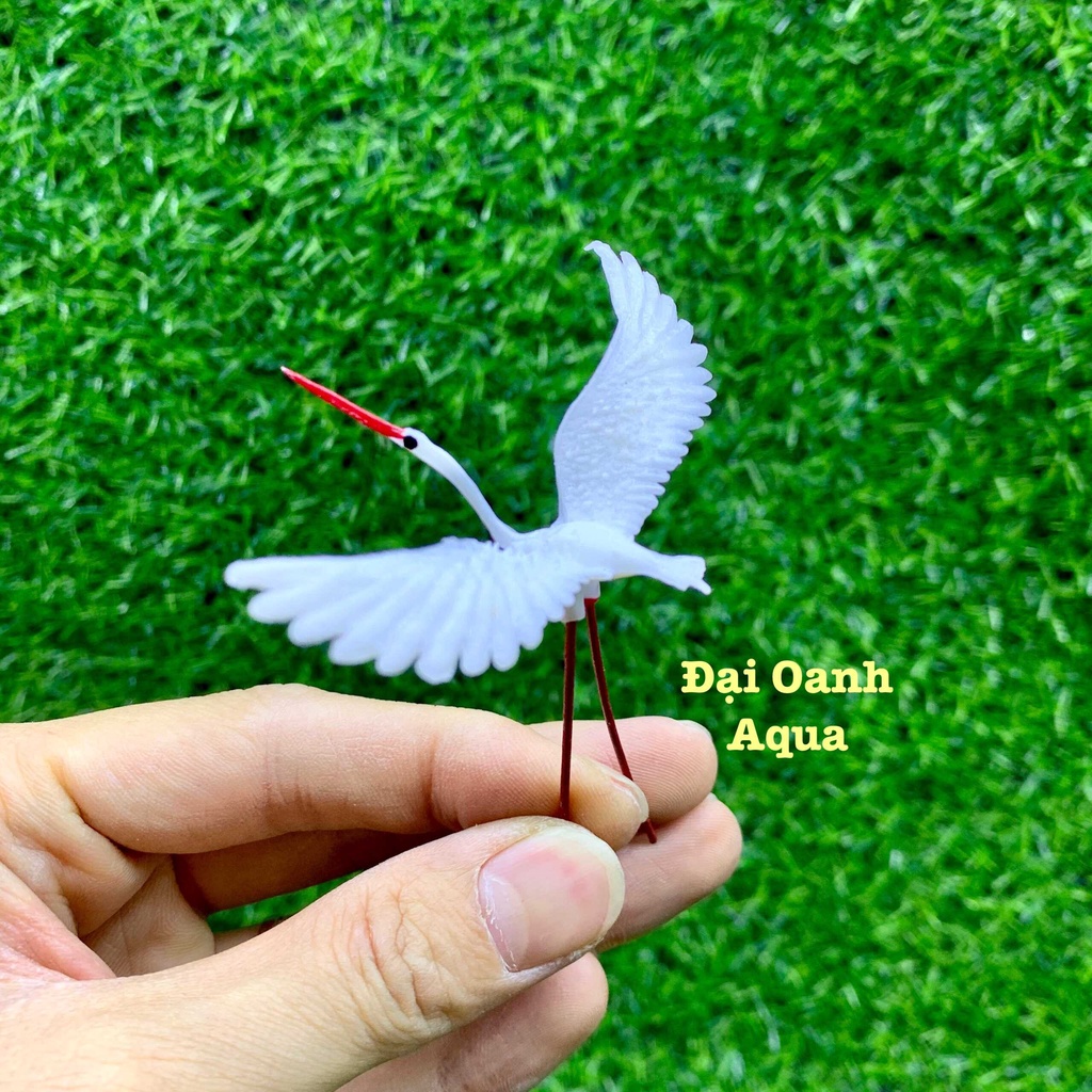 Tiểu cảnh trang trí hồ cá, bể cá, chậu cây, hòn non bộ, sân vườn