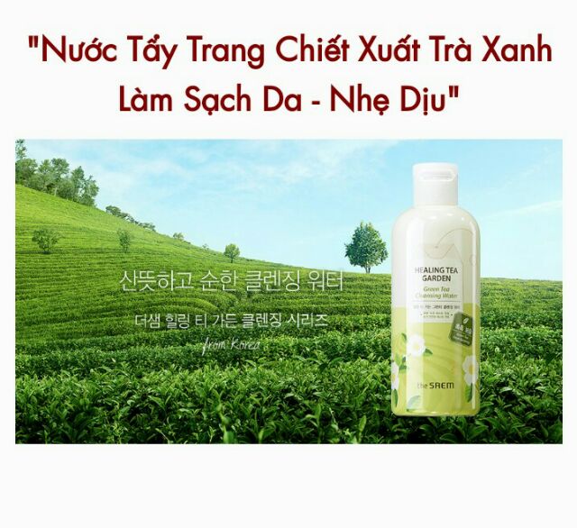 Nước Tẩy Trang Chiết Xuất Trà Xanh The Saem Healing Tea Garden Green Tea Cleansing Water 300ml