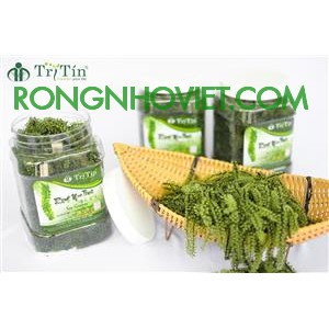 [FREESHIP 99K TOÀN QUỐC]Rong nho tươi Trí Tín 500gr