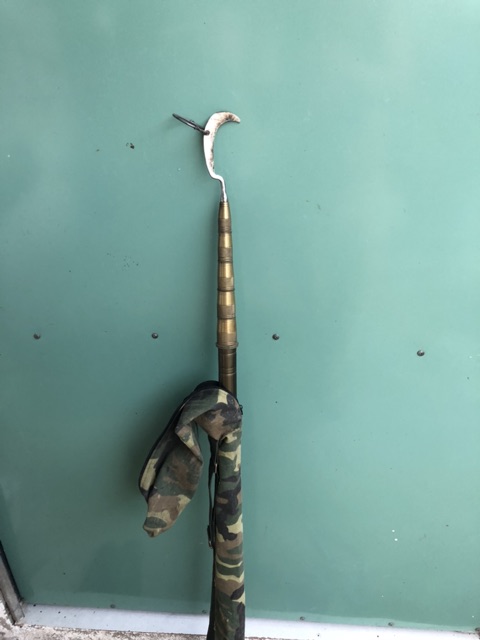 Ngũ cốc trộn 14 loại hạt cho chim cu gáy