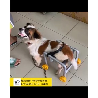 xe lăn chó mèo liệt có đệm ngồi, có thể điều chỉnh được chiều cao xe bảo hành sản phẩm