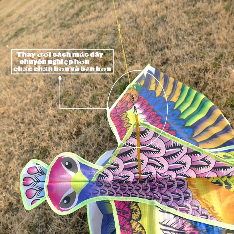 DIỀU CÔNG PHONG CÁCH XỨ HUẾ - DIỀU CỒNG SIỀU ĐẸP - THÁI BÌNH.VN_17