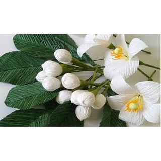 Giấy nhún làm hoa 50cm x 250cm