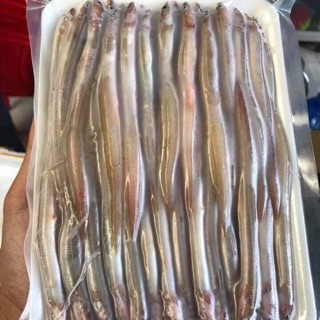 Cá Sụn Sịn Khay 500gam