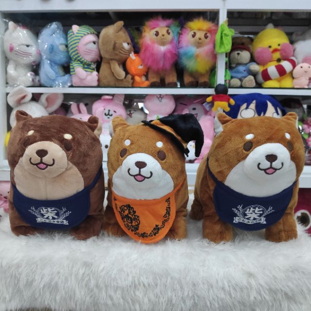 Gấu bông chó shiba đeo yếm dễ thương  nhiều mẫu đáng yêu chất bông mềm mịn