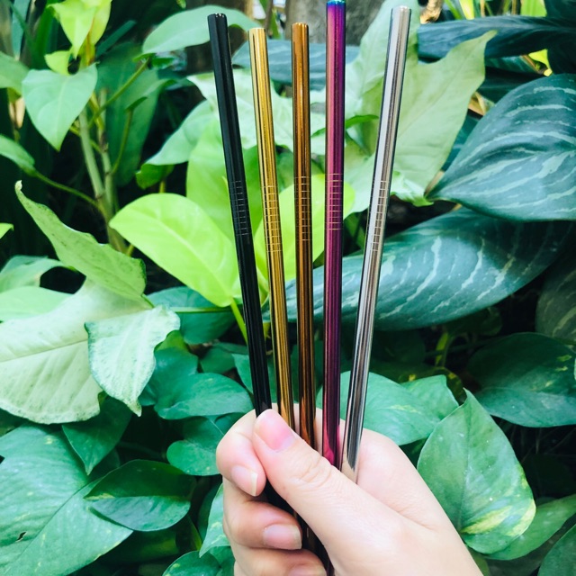 ỐNG HÚT INOX SIZE THƯỜNG ( ĐỦ MÀU )