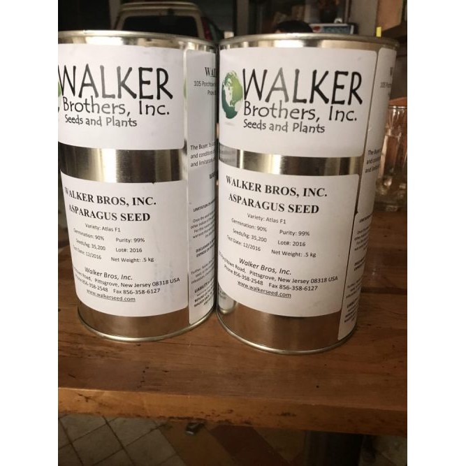 HẠT GIỐNG MĂNG TÂY XANH ATLAS F1 và APOLO WW01 Gói 100 Hạt