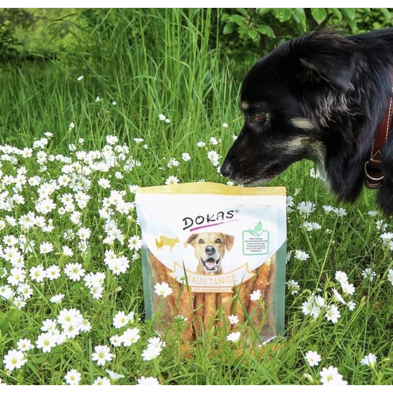 Dokas Treat Thanh gặm nhai da bò cuộn thịt Gà , Vịt , Cá từ thiên nhiên cho chó 200GR- Đồ ăn thưởng cho cún