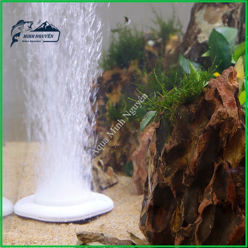 SỦI DĨA OXY NANO SIÊU MỊN JENECA