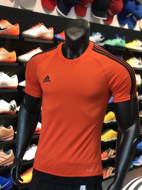 [Giá hủy diệt] Áo thể thao AdiDas