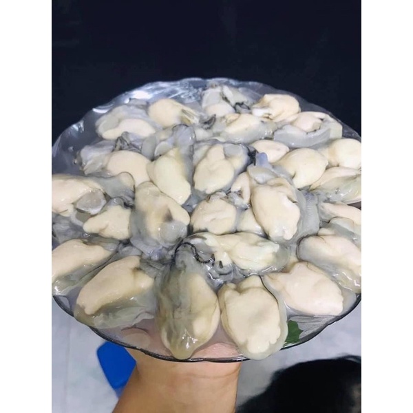 [HỎA TỐC SG] 500G Ruột hàu sữa ngon đặc sản tươi ngon - thucphamnuongfood