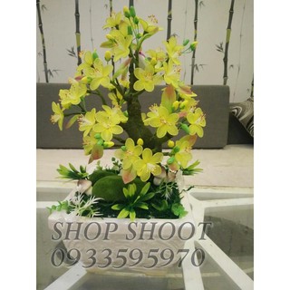 SET NGUYÊN LIỆU BÌNH HOA MAI