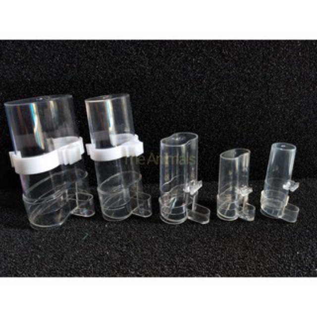 Cóng Ăn, Cóng Cấp Nước Tự Động Cho Chim Các Loại, Bình Uống Nước Cho Chim