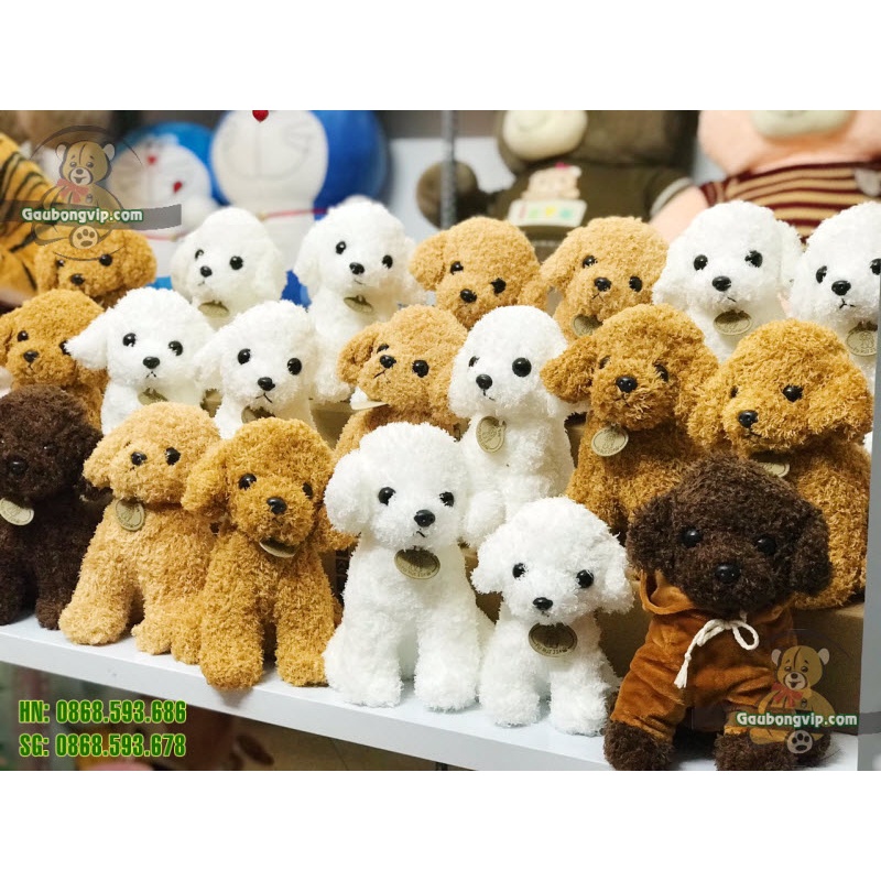 Chó bông Poodle 🔥 CAO CẤP 🔥 gấu bông chó poodle lông xù mềm đẹp như chó thật, làm quà tặng