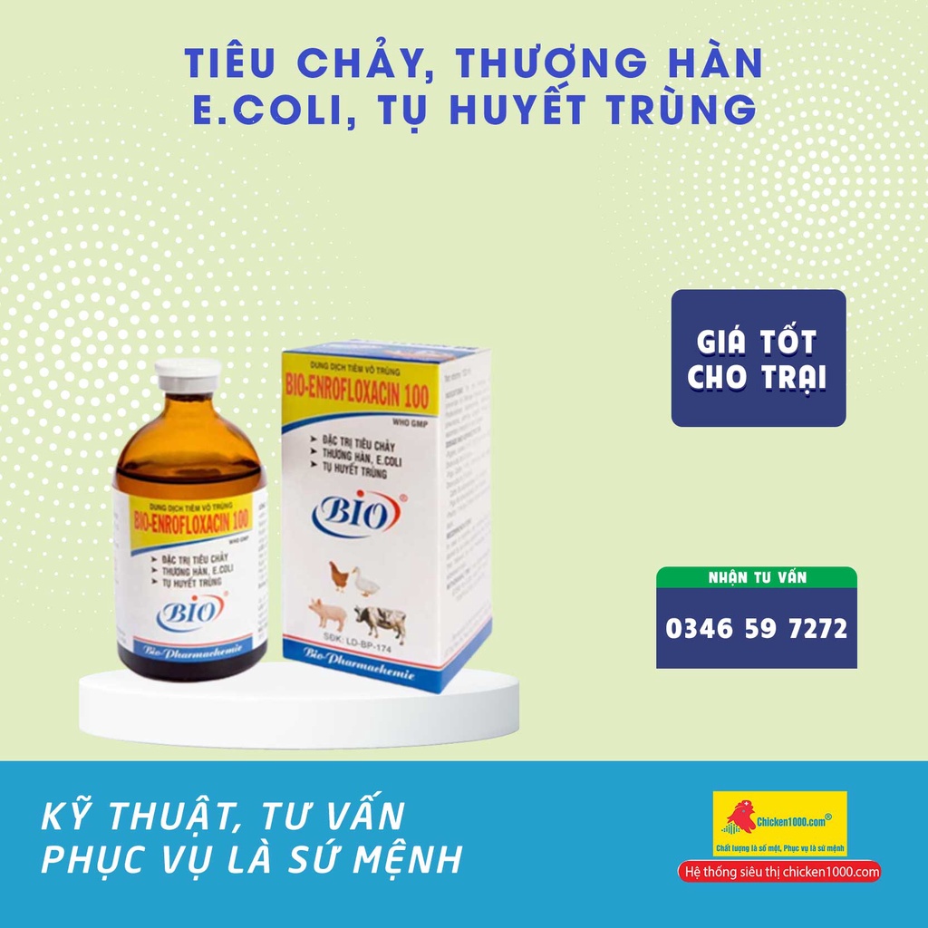 Thú Y Enrofloxacin 100 Dùng Cho Vật Nuôi Heo, Bò, Gà, Dê, Vịt Bị Viêm Ruột, Tiêu Chảy