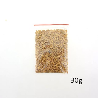 Cỏ mèo-cỏ lúa mạch- quần áo phụ kiện thú cưng