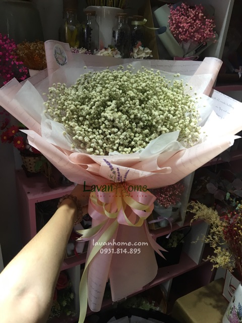 Bó hoa khô baby hồng - Quà tặng các dịp lễ như 20/10, 20/11, lễ giáng sinh, lễ tình nhân, 8/3 hay sinh nhật, tốt nghiệp | BigBuy360 - bigbuy360.vn