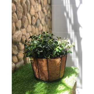 [GREEN HOUSE] Giỏ hoa xơ dừa tròn 2 tấc 3