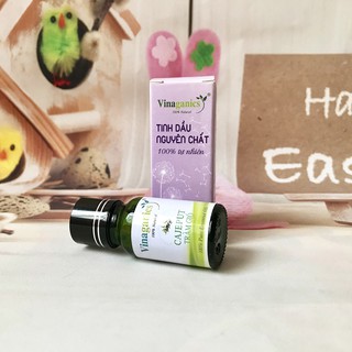 Tinh dầu tràm gió