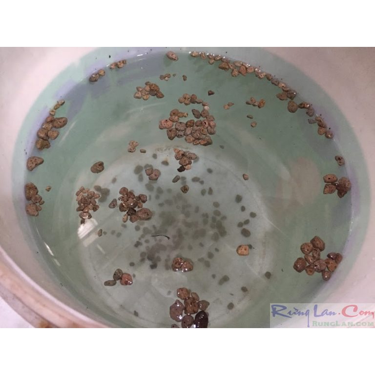 Đá bọt pumice stones size 5-8mm. tầm 16-21kg