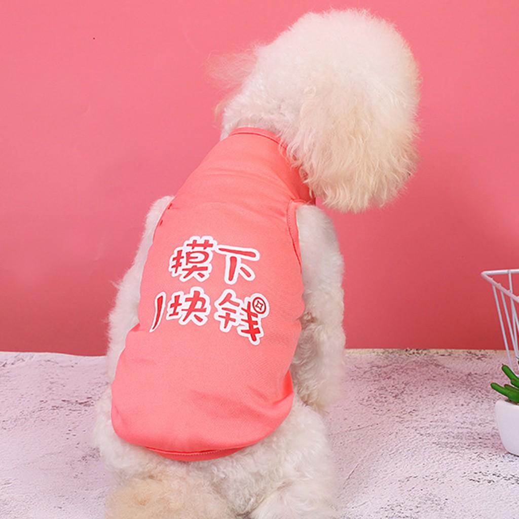 Áo thun in chữ đáng yêu dành cho thú cưng