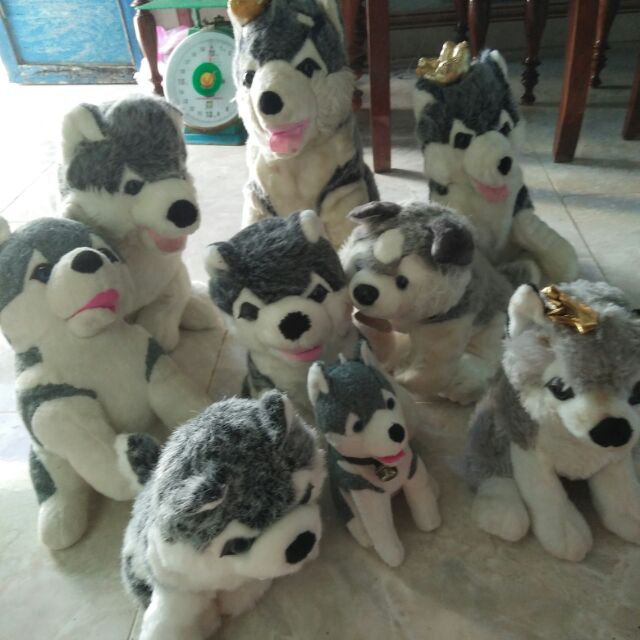 Gấu bông si