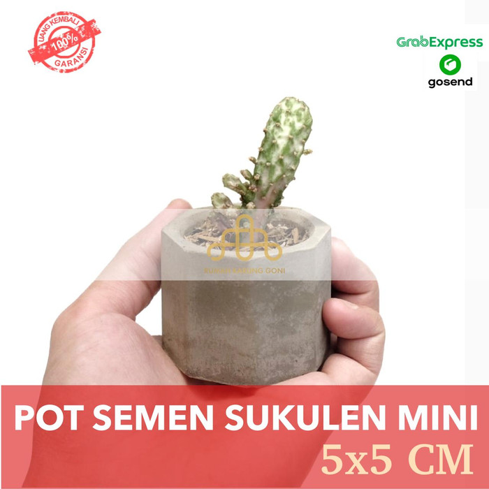 Chậu Xi Măng Mini Hình Lục Giác 5x5cm Dùng Làm Quà Tặng