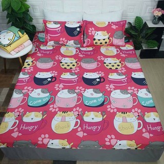 SET GA GỐI COTTON POLY THOÁNG MÁT