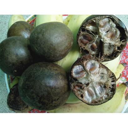 Quả La Hán (01 quả) | BigBuy360 - bigbuy360.vn