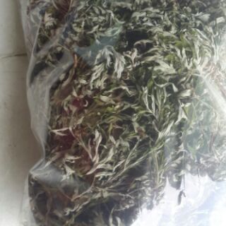 Lá ngải cứu khô 500g