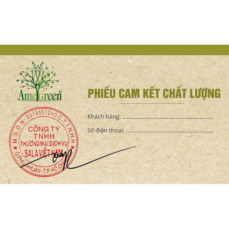 (Chính hãng) Dầu gội vỏ bưởi cao cấp Premium AmeGreen giảm rụng tóc, kích mọc tóc (600ml) | BigBuy360 - bigbuy360.vn