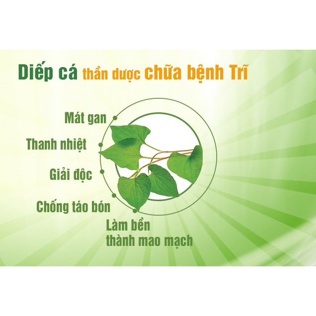 Bột diếp cá hữu cơ sấy lạnh nguyên chất Quảng Thanh (100g) trị trĩ, làm đẹp da, trị mụn, mờ thâm, trắng da, detox cơ thể