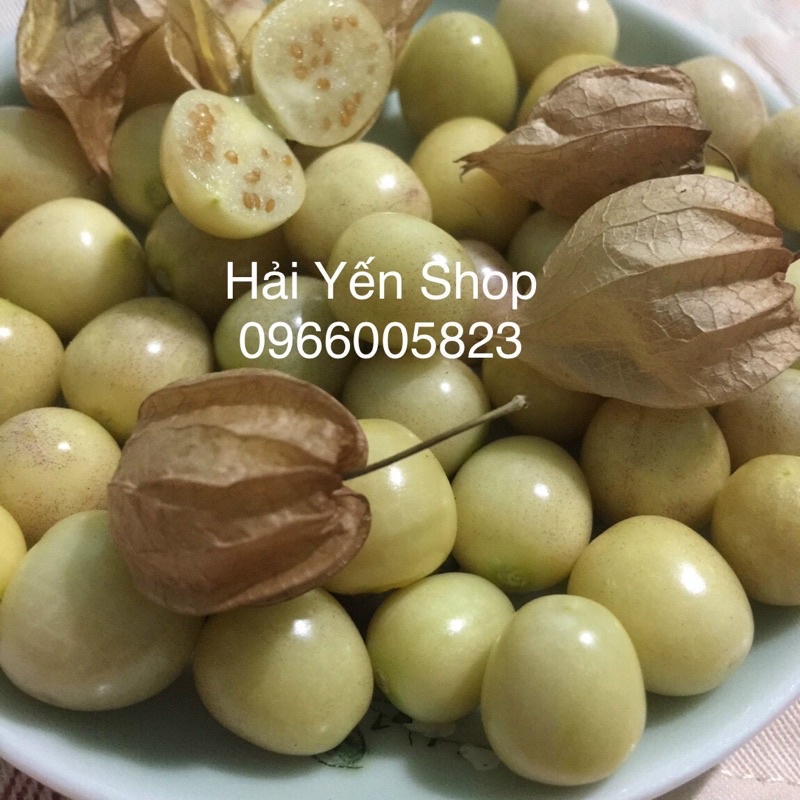 100g trái Tầm Bóp (thù lù) Việt Nam siêu ngon