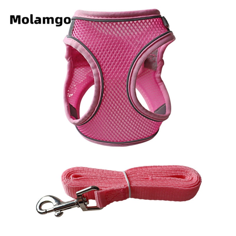 Dây Dắt Thú Cưng Phản Quang Thoáng Khí Kèm Dây Dắt