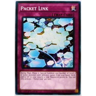 Packet link |en| common