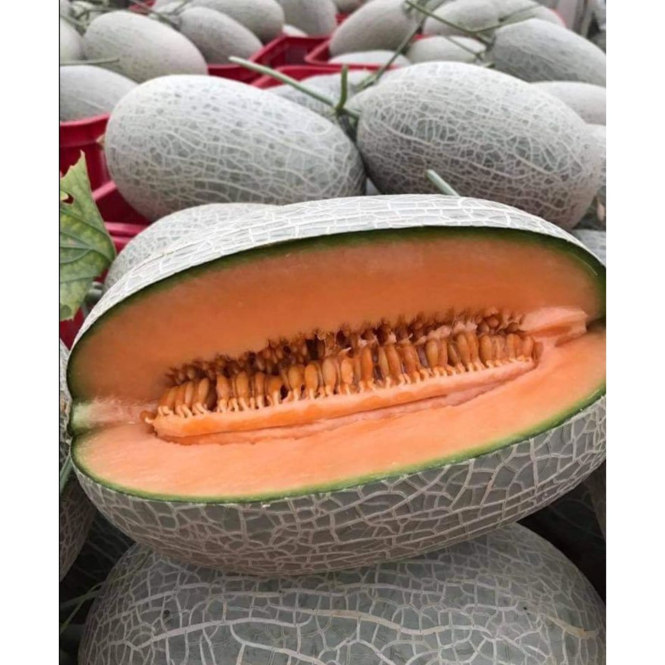 Dưa Lưới Hami Ruột Cam