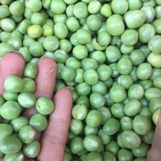 ĐẬU HÀ LAN HỮU CƠ 500g