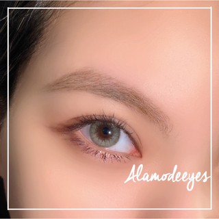 Lens xám soắn bạc hà