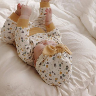 BST HOA POKO HÃNG PEEKABOO
