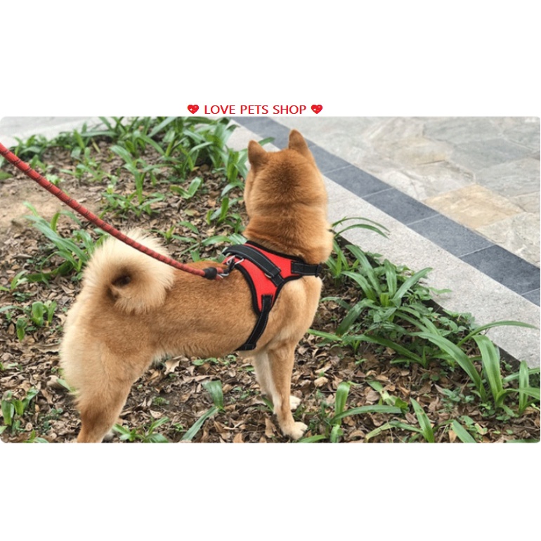 ĐAI YẾM NGỰC CHO CHÓ CÓ ĐỆM LƯNG (KHÔNG CÓ DÂY DẮT) - LOVE PETS SHOP